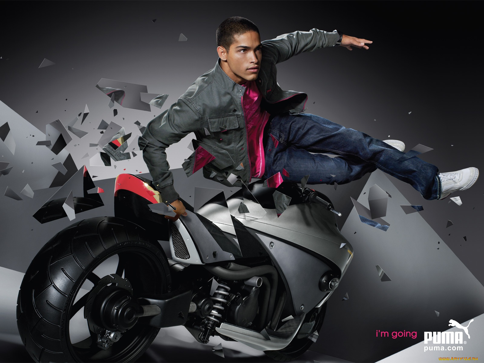 , puma